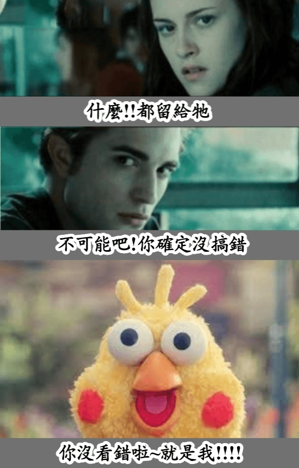 遺產可以贈與寵物嗎？你必須知道的三大招！不再怕寵物流離失所.