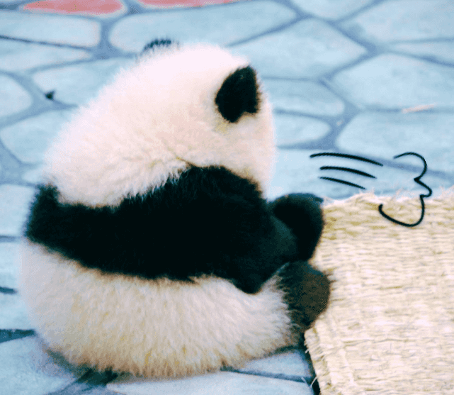 熊貓外送「店內價」爭議：公平會高額罰款的理由解析