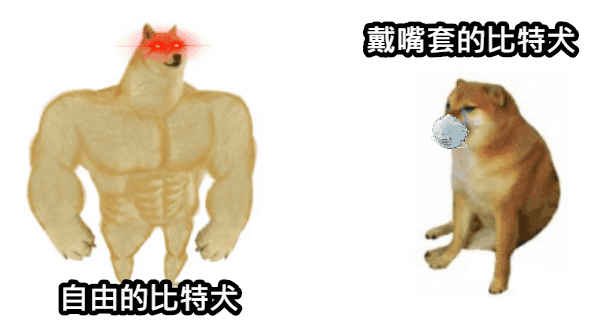 家有毛小孩不可不知的法律常識.