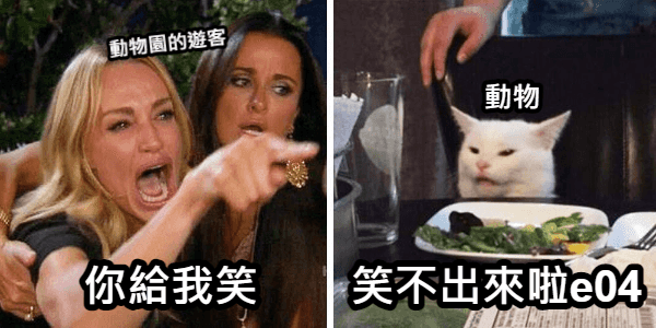 囚籠內的困獸---你該知道展演動物的三件事.