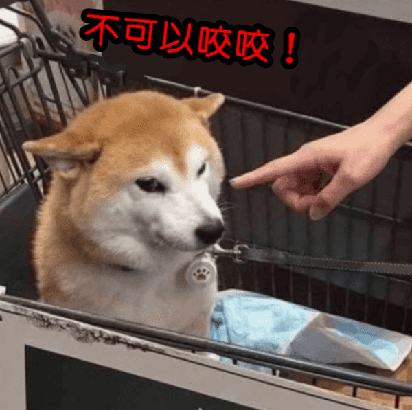 家有毛小孩　你必須要知道的事！.