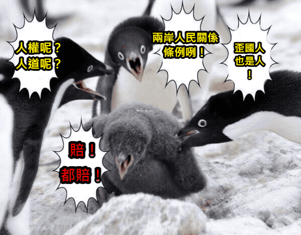 台灣國賠法：外國人權益保障的關鍵變革