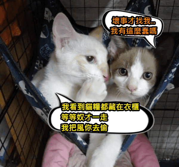 從黑暗榮耀看教唆犯與幫助犯的法律細節