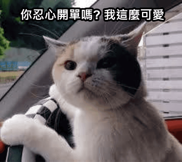 員警被控貪汙！同情無照拾荒翁沒開單，結局曝....